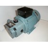 Gear pump