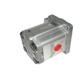 Moteur à engrenage