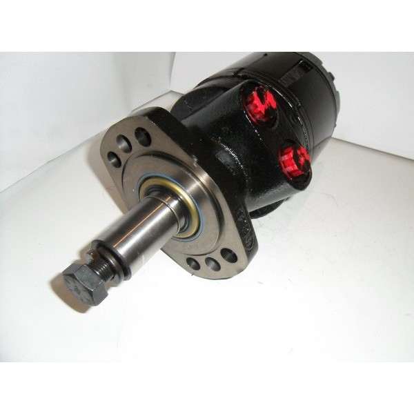 Hydraulic motor