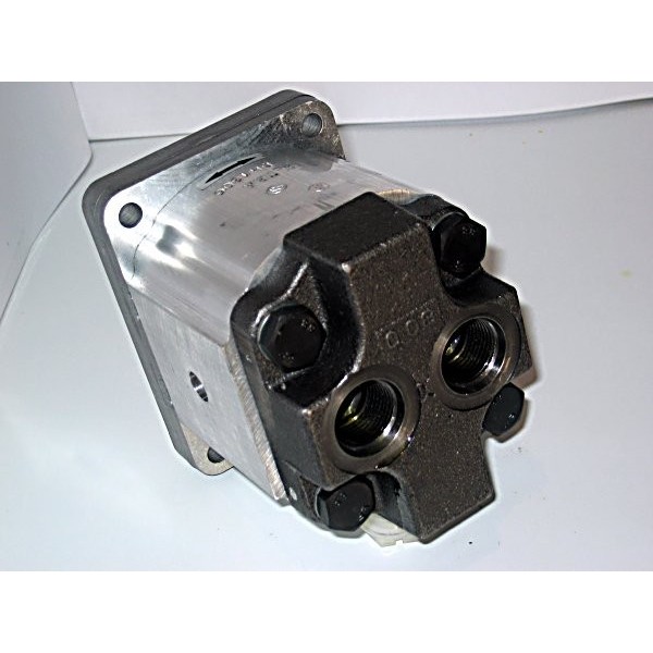 Gear motor