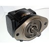 Gear motor