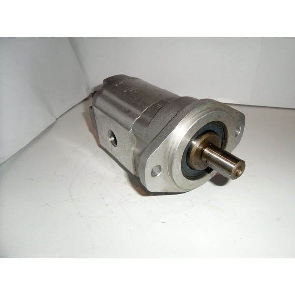 Gear motor