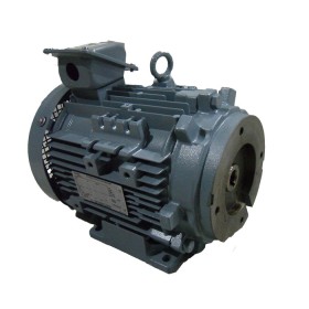 Moteur électrique