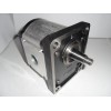 Gear motor