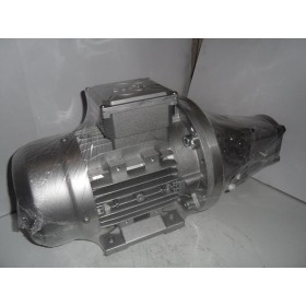 Gear pump