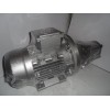 Gear pump