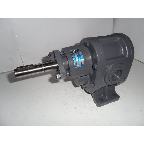 Gear motor