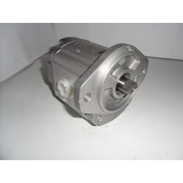 Gear motor