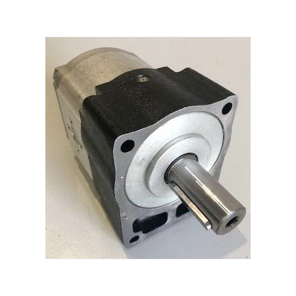 Gear motor