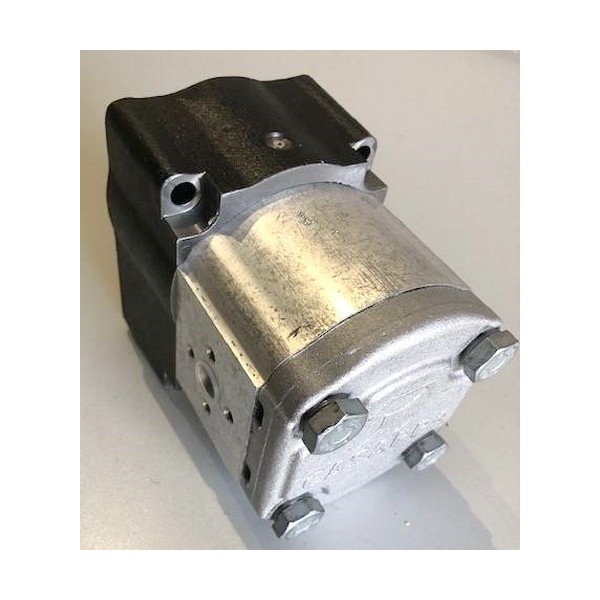 Gear motor