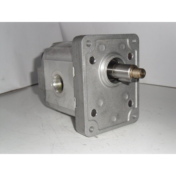 Gear motor