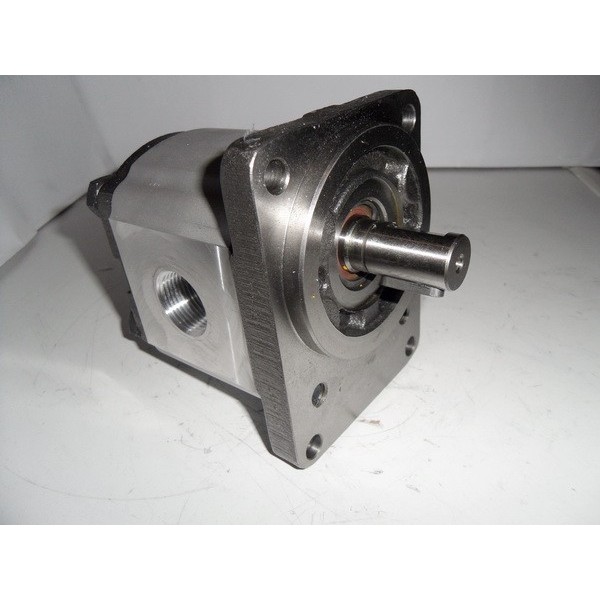 Gear motor