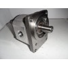 Gear motor