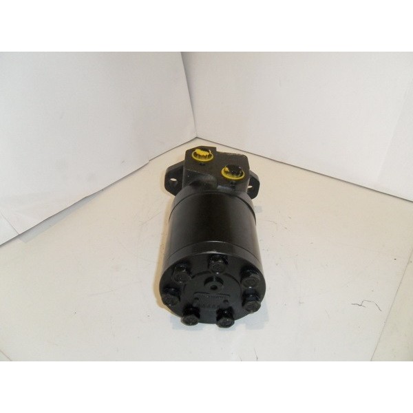 Hydraulic motor