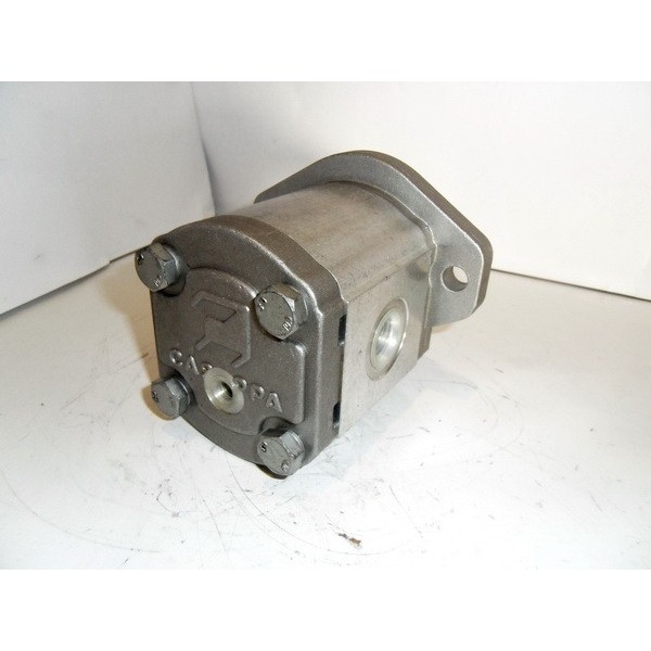 Gear motor