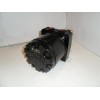 Hydraulic motor