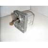 Hydraulic motor