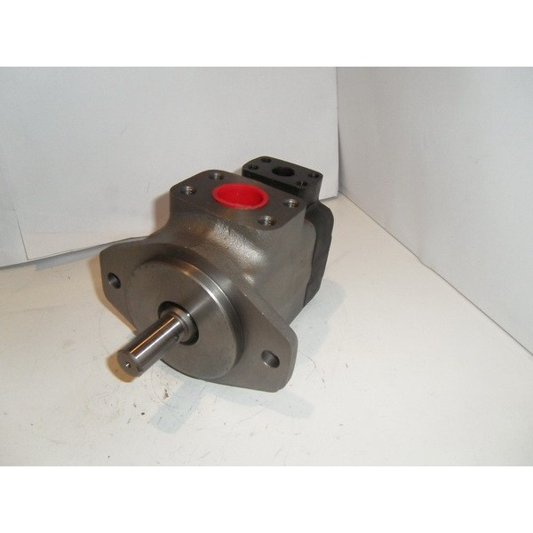 Hydraulic motor