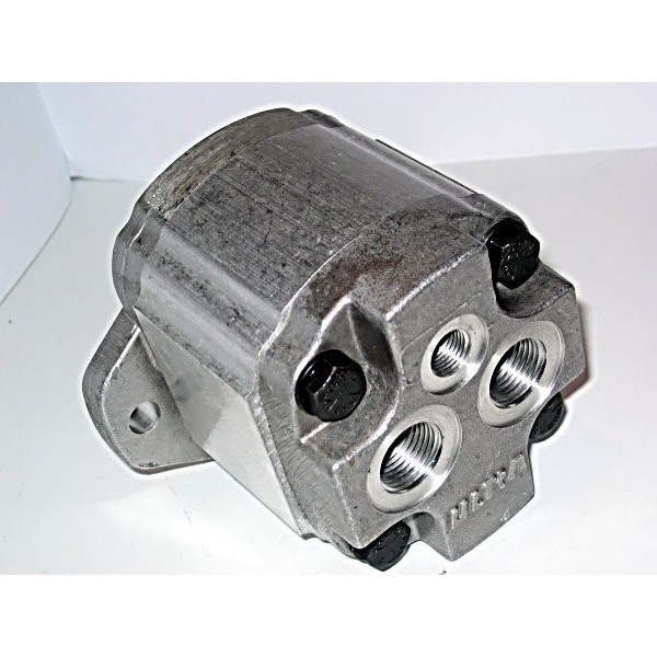 Gear motor