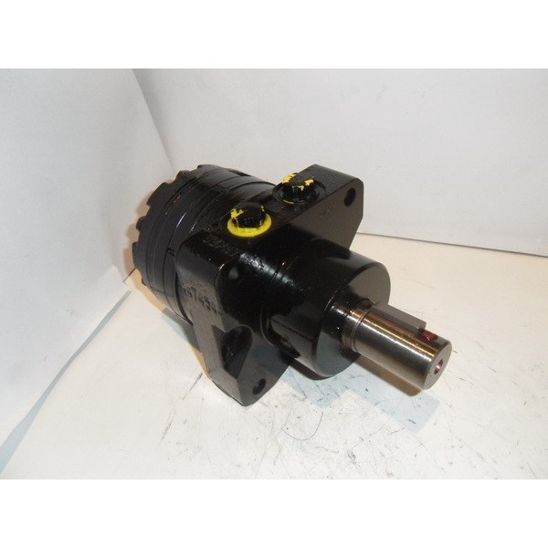 Hydraulic motor