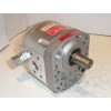 Gear motor