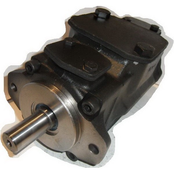 Vane pump