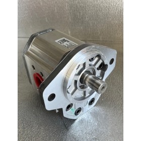 Moteur à engrenage