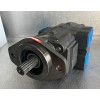 Pompe double corps fonte