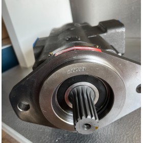Pompe double corps fonte