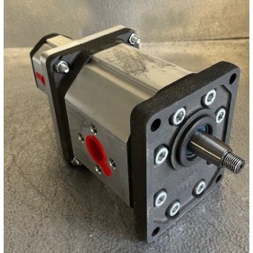 Pompe double à engrenage