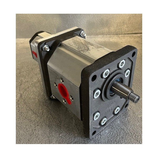 Pompe double à engrenage