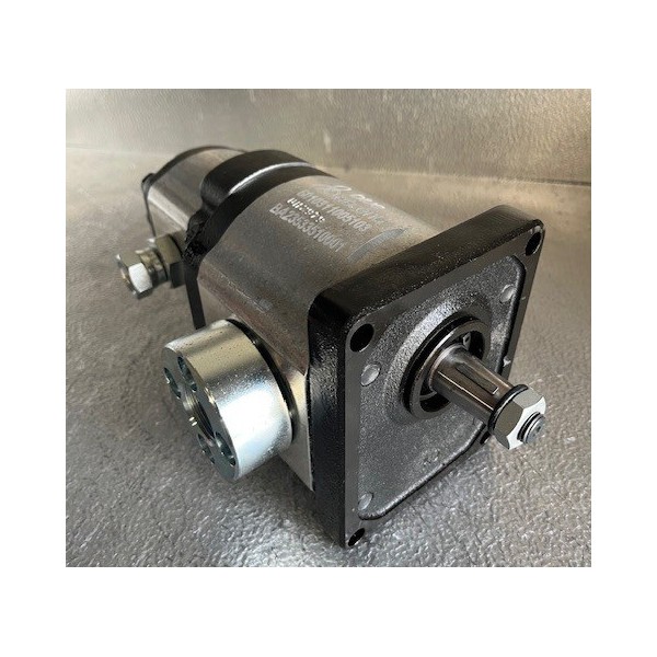 Pompe double à engrenage