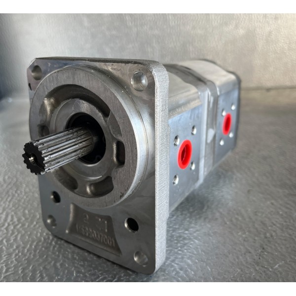 Pompe à engrenage double