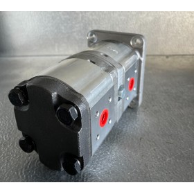 Pompe à engrenage double