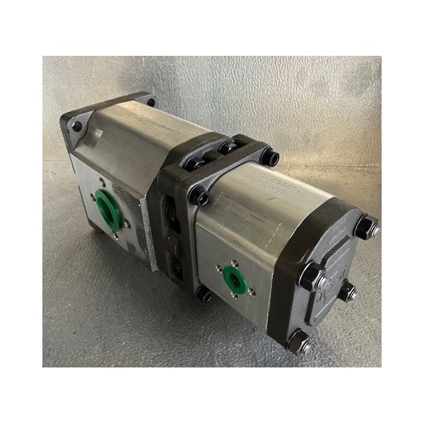 Pompe à engrenage double