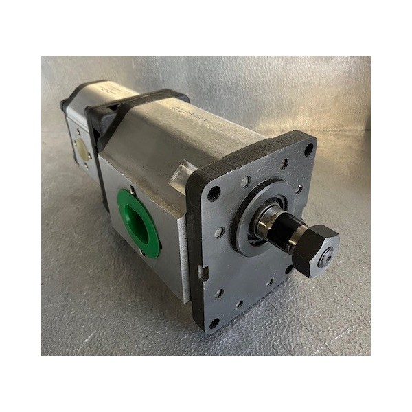 Pompe à engrenage double