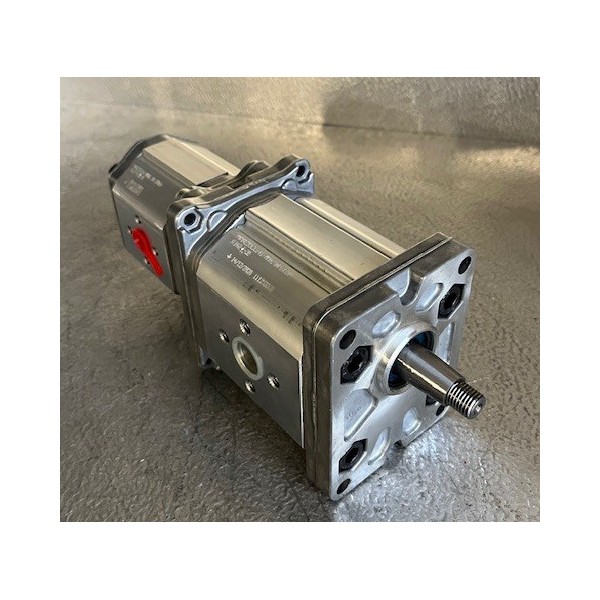 Pompe double à engrenage