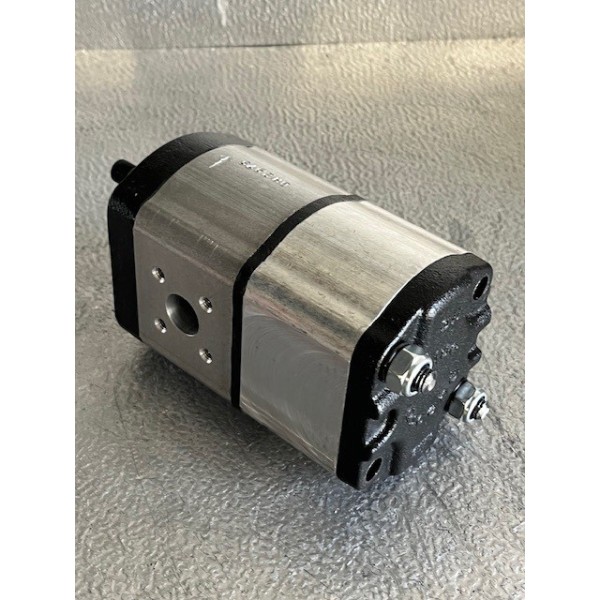 Pompe à engrenage double