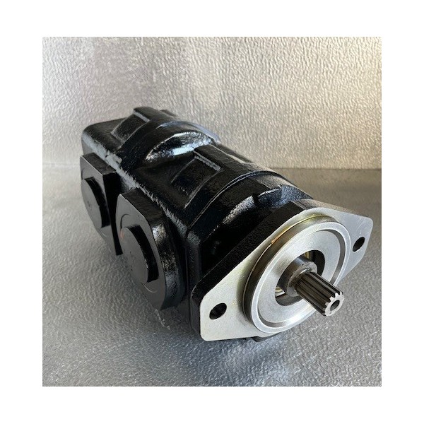 Pompe à engrenage double