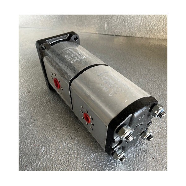 Pompe double à engrenage