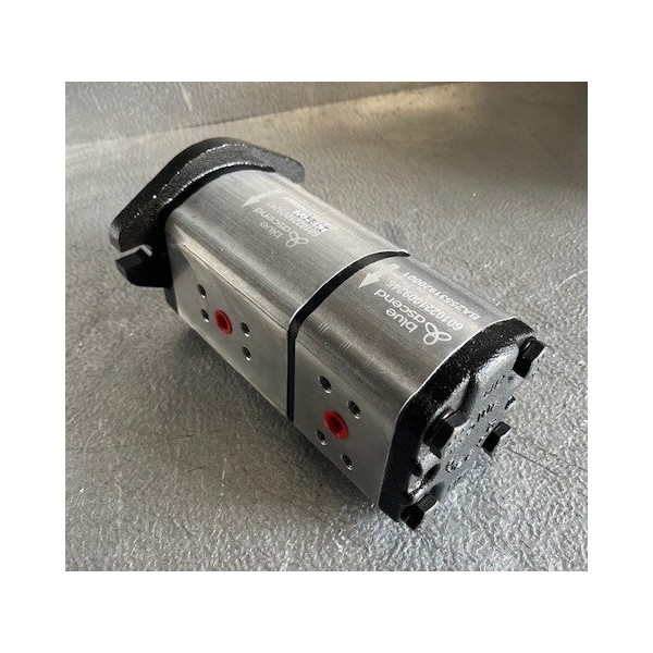 Pompe double à engrenage