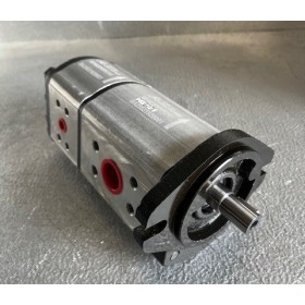 Pompe double à engrenage