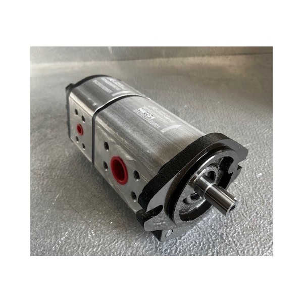 Pompe double à engrenage