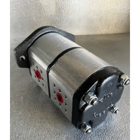 Pompe à engrenage double