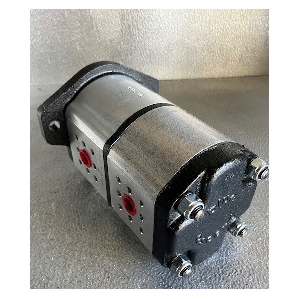 Pompe à engrenage double