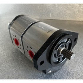 Pompe à engrenage double