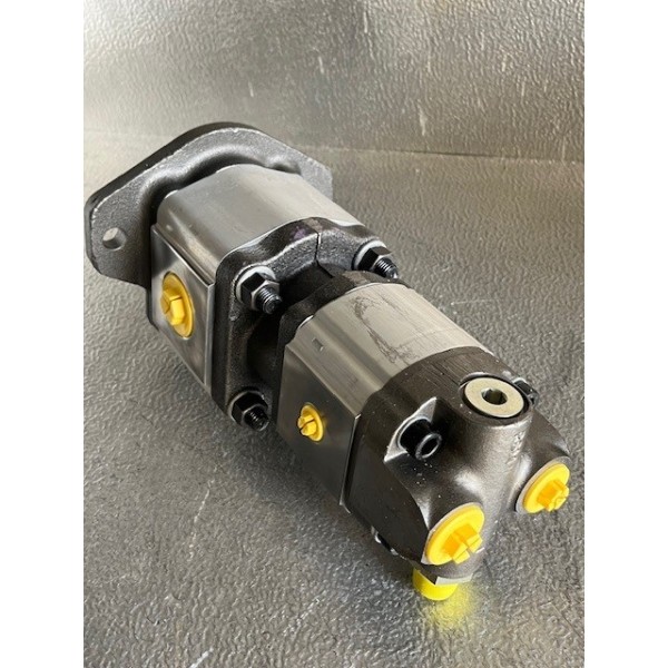 Pompe double à engrenage