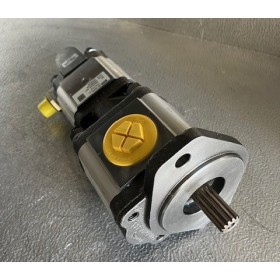 Pompe double à engrenage