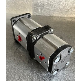 Pompe double à engrenage