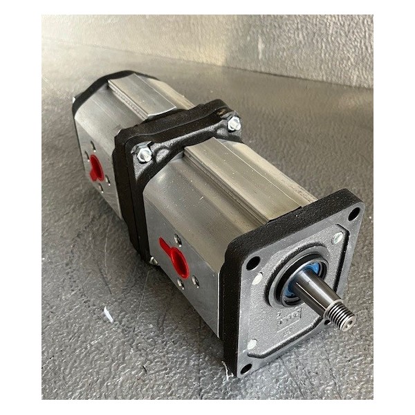 Pompe double à engrenage